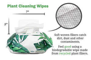 Houseplant Cleaning and Dusting Wipes