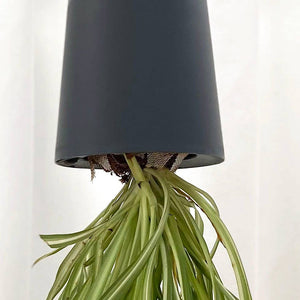 Sky Planter - Medium