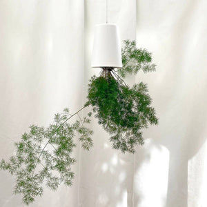 Sky Planter - Medium