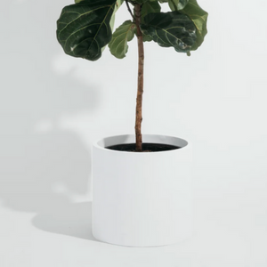 Cylinder Planter