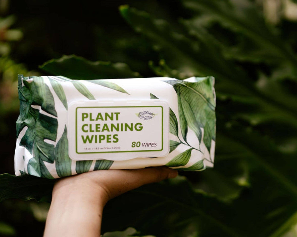 Houseplant Cleaning and Dusting Wipes