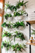 Indoor tropical plants hanging on white wall in attached wall planters.