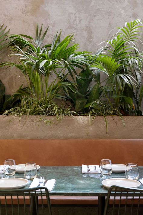 Large indoor tropical plants behind table in restaurant banquet.