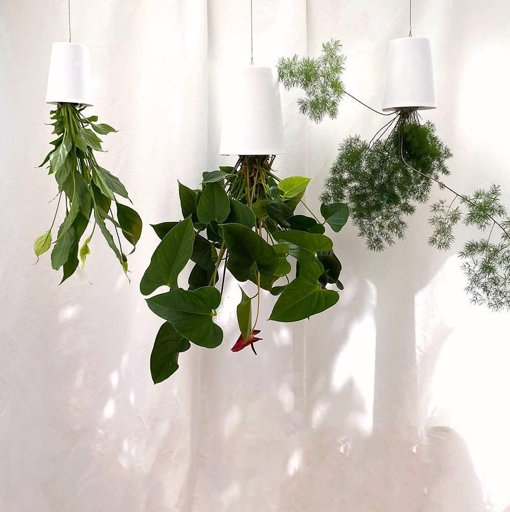 Sky Planter - Medium