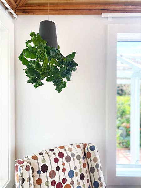 Sky Planter - Small
