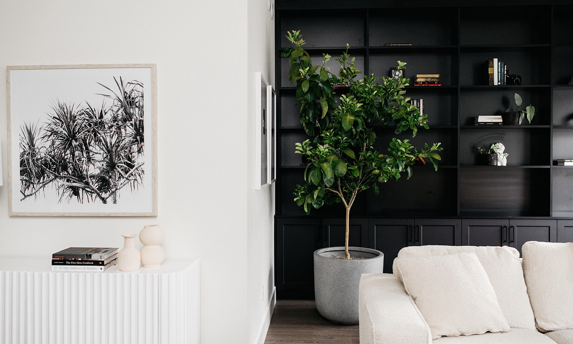 Living room with white boucle sofa, credenza and bookshelves. A large grapefruit tree is front and centre in a grey planter.