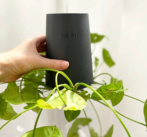 Sky Planter - Small