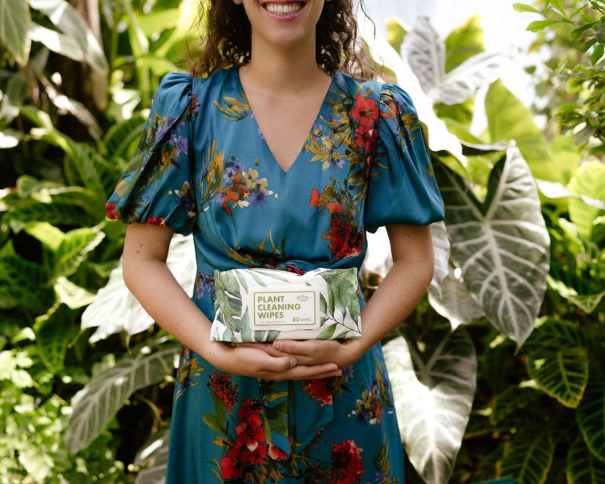 Houseplant Cleaning and Dusting Wipes