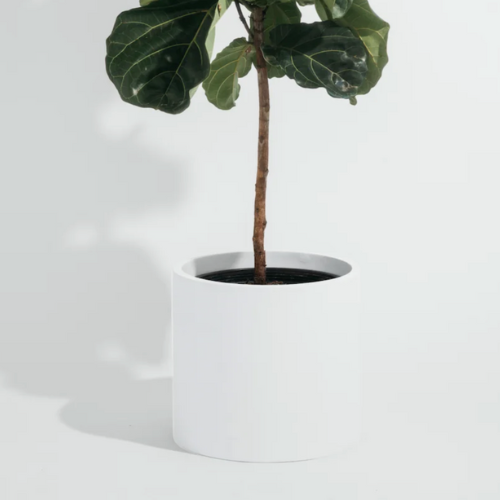 Cylinder Planter