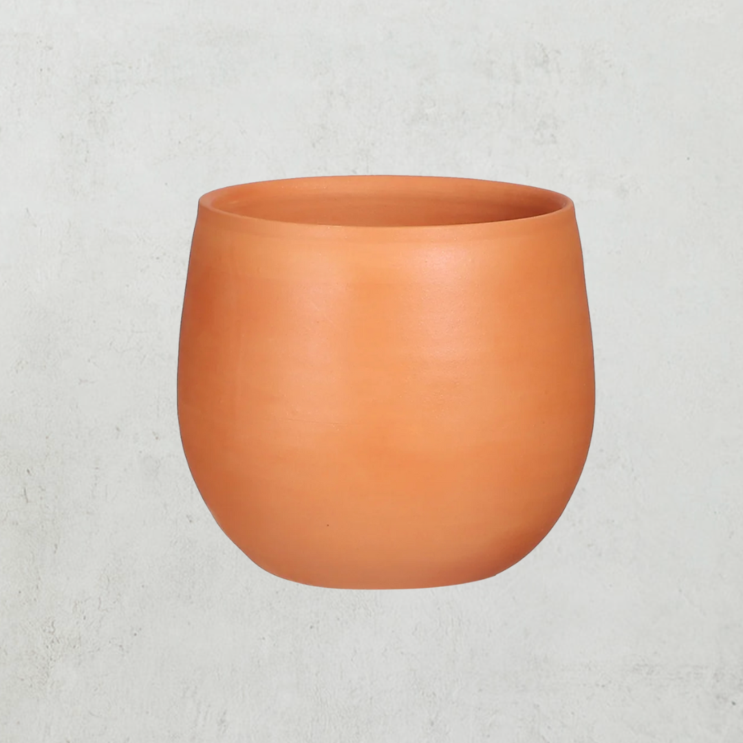 Marlia Terracotta Pot