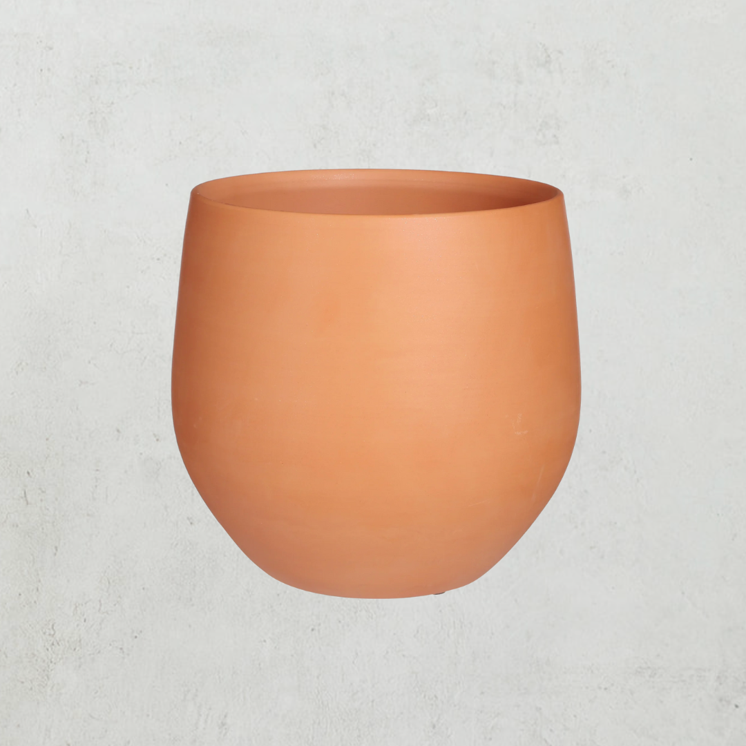 Marlia Terracotta Pot Large