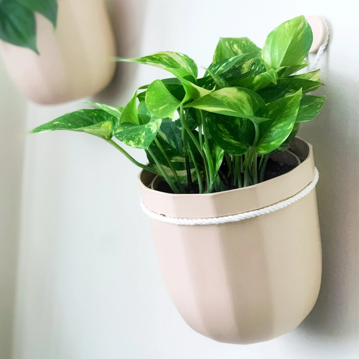 WALLYGROW LOOP PLANTER TERRACOTTA