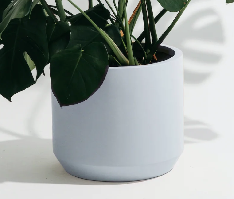 Carver Low Cylinder Planter Medium