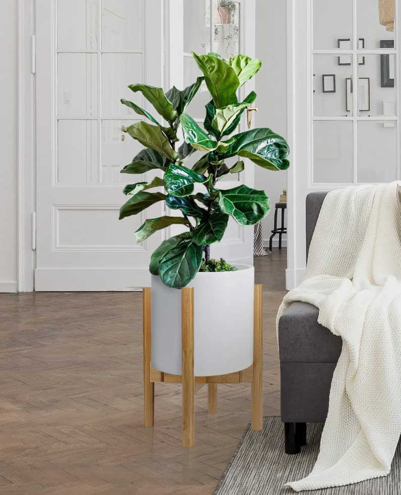 Bamboo Plant Stand